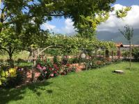 Alma Migrante bed&wine - Ferienwohnung Telese Terme