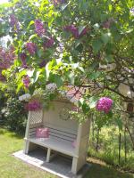 Apartman Panonsko more - B&B Palić
