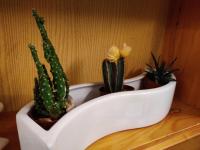 B&B La Fosina - B&B Mezzolombardo