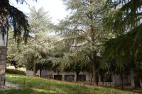 B&B Europa - Chambres d’hôtes