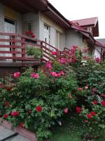 Viladana - B&B