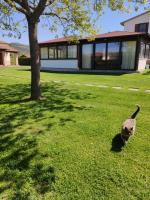 Agriturismo Il Cavallino Saturnia - Ferienwohnung Semproniano