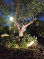 Two-Bedroom Apartment (2 Adults + 2 Children)