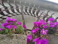 Casa Agnese Verona appartamento parcheggio in struttura - Chambres d’hôtes