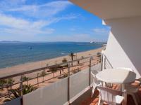 MIRAMAR 19B - B&B Roses