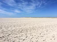 Ferienwohnung *Meeresleuchten* - Ferienwohnung Wittdün