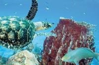 KAZADIDOU - Résidence Grand Cap - Vue Mer et Montagne - Piscine - B&B Le Gosier
