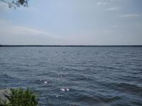 Ципель 2 - Bed and Breakfast Shatsk
