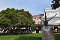Apartment Biograd na Moru 2 - B&B