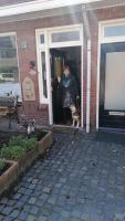 B&B Bij de koeien - Bed and Breakfast Tubbergen