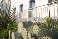 Captain's Suite - B&B Neusiedl am See