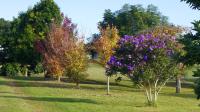 La Dolce Vita - B&B Beechmont