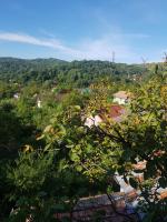 Pensiunea TOP DEMAC - Ferienwohnung Slănic