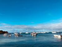 Apartamentos Magallanes Bayahibe - Ferienwohnung Bayahibe