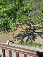 Doppelzimmer mit Gartenblick