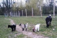 Le moulin Bertrand - B&B
