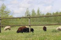 Le moulin Bertrand - B&B Martigny-Courpierre