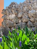 Barsentello - B&B