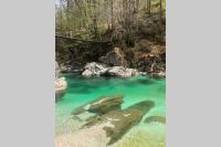 My House - B&B Plezzo