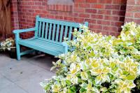 Walking distance to hospital and town with free off-road parking - Chambres d'hôtes Bury St Edmunds