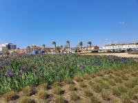 ESTUDIO VIOLET BEACH - B&B