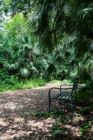 Beyond Colosseum - B&B Roma
