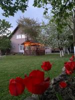 Holiday Home GC30 - B&B Cristian