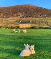Hidden Hills Waterville - B&B