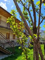 Sunny Mountain House - B&B