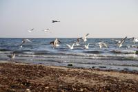 Luksusowy Apartament w Sopocie - B&B Sopot