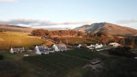 Endless Vineyards at Wildekrans Wine Estate - B&B Botrivier