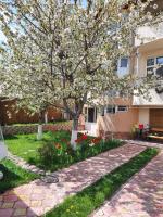 PENSIUNEA CIREȘUL ALB - B&B Tulcea