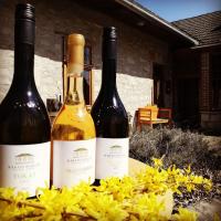 Karádi-Berger Vendégház - Chambres d’hôtes Erdőbénye