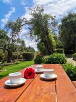 B&B Dassia - Ilias Apartments Dassia By Hotelius - Bed and Breakfast Dassia