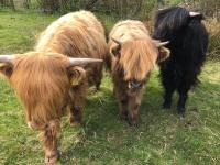 Camera Deluxe Matrimoniale con Vista Mare