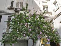 Vittoria Guest House Salerno - Chambres d’hôtes