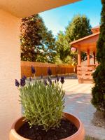 Mimi Apartments - B&B Zamárdi