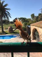 Chambre Triple - Vue sur la Piscine