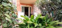 Sal Service djasal residence with pool - B&B
