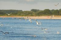 Ferienwohnung Trave Ufer Moba-Travel - B&B Lubeca