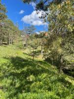 Veselica - B&B Divčibare