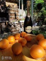 Апартаменты в гостевом доме - B&B Odessa