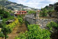 B&B San Biagio della Cima - Le Rose - Bed and Breakfast San Biagio della Cima