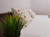 Pensiunea Casa Blanca - B&B Sulina