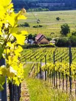 Le p'tit coin de chez nous - B&B Dambach-la-Ville