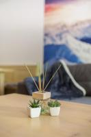 Appartement 1 Chambre