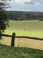 Bootmenders B&B - Bed and Breakfast Petersfield