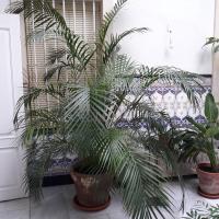 Atico Soleado - B&B Cádiz