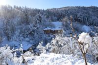 App Schlossblick - Wohnung Hammerwand 2 - Ferienwohnung Umes