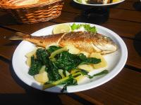 Apartmani Zuzana,Baška Voda - Chambres d’hôtes Baška Voda